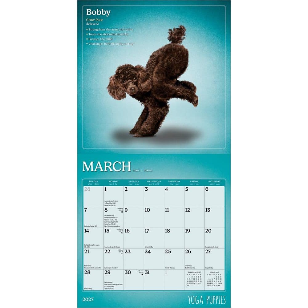 Yoga Puppies 2027 Mini Wall Calendar Second Alternate Image