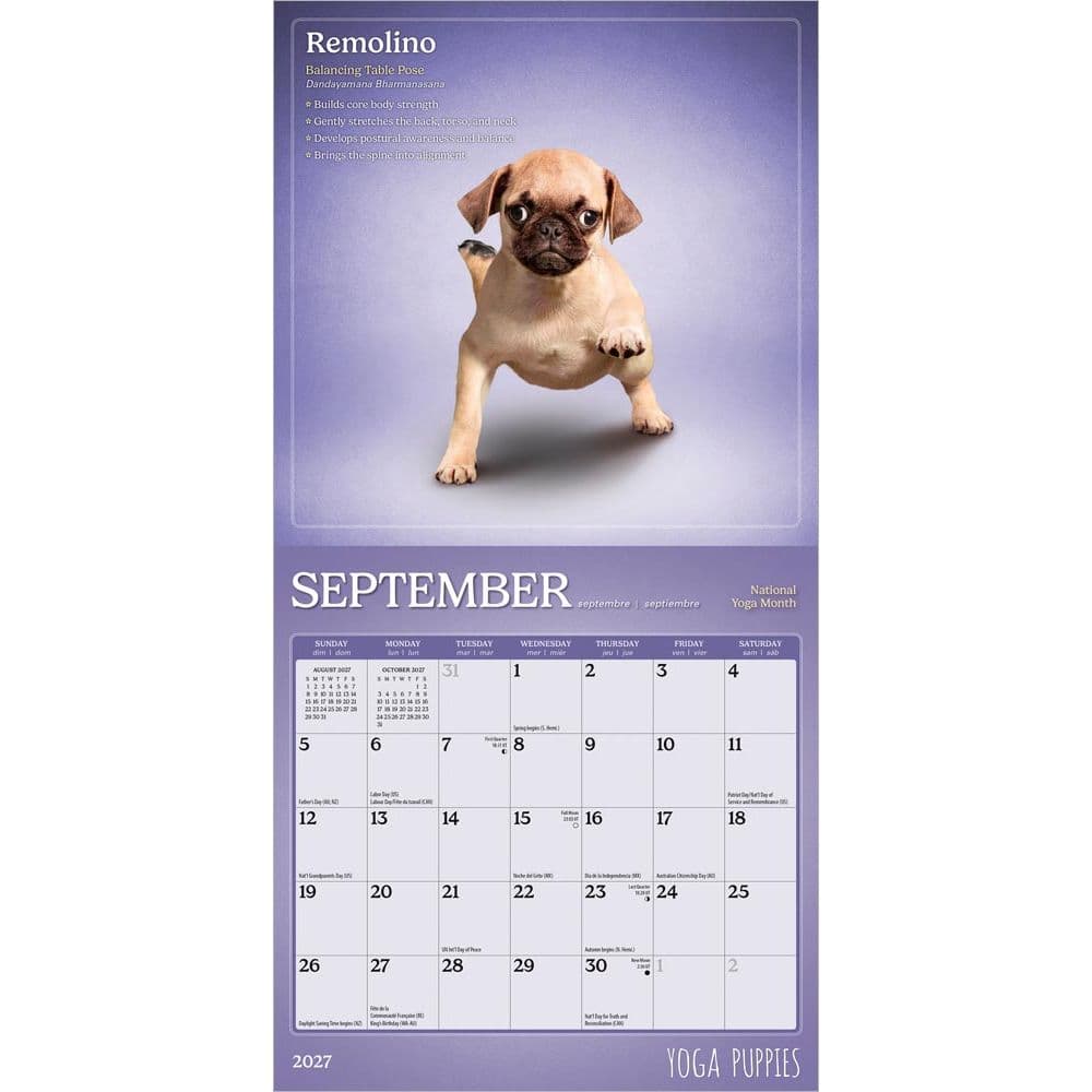 Yoga Puppies 2027 Mini Wall Calendar Third Alternate Image