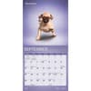 image Yoga Puppies 2027 Mini Wall Calendar Third Alternate Image