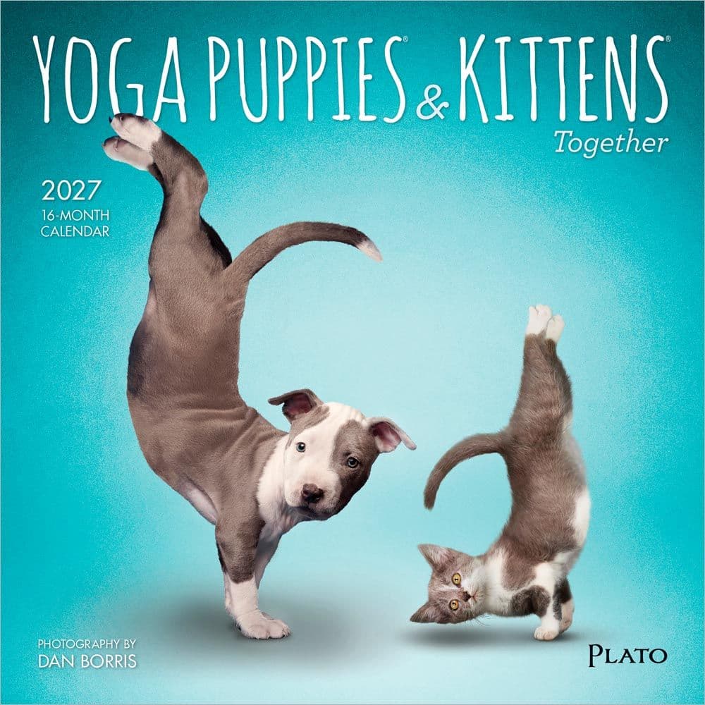 Yoga Puppies and Kittens 2027 Mini Wall Calendar