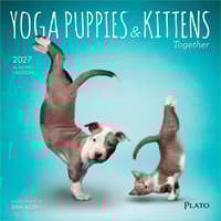 image Yoga Puppies and Kittens 2027 Mini Wall Calendar Main Product Image