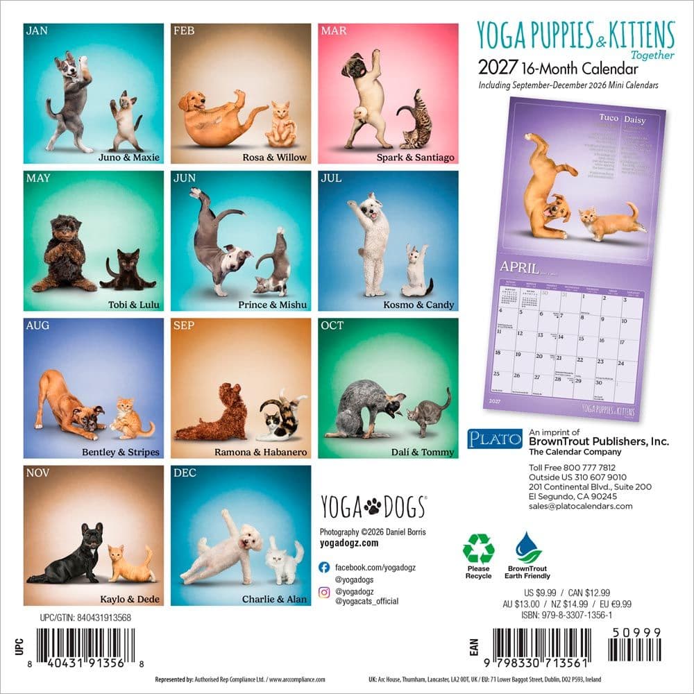 Yoga Puppies and Kittens 2027 Mini Wall Calendar First Alternate Image