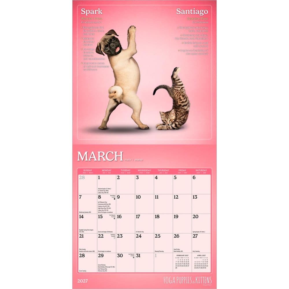 Yoga Puppies and Kittens 2027 Mini Wall Calendar Second Alternate Image