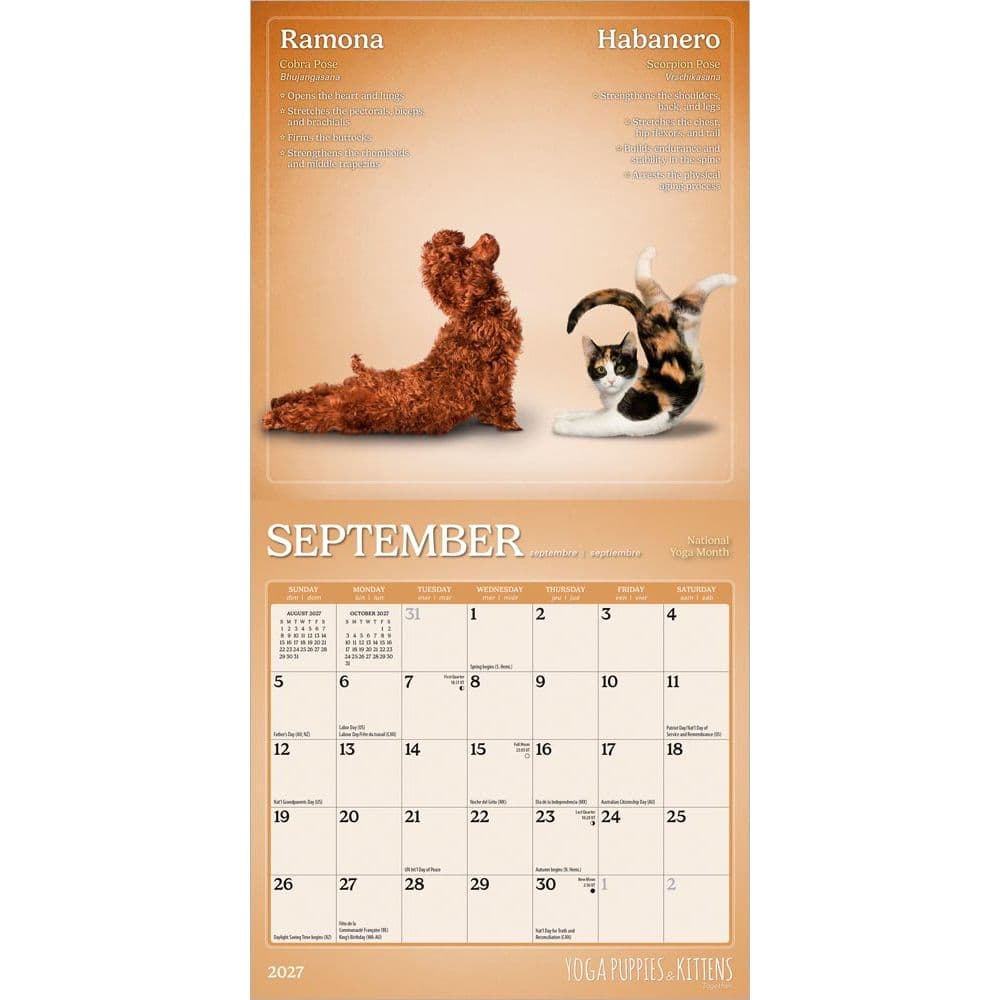 Yoga Puppies and Kittens 2027 Mini Wall Calendar Third Alternate Image