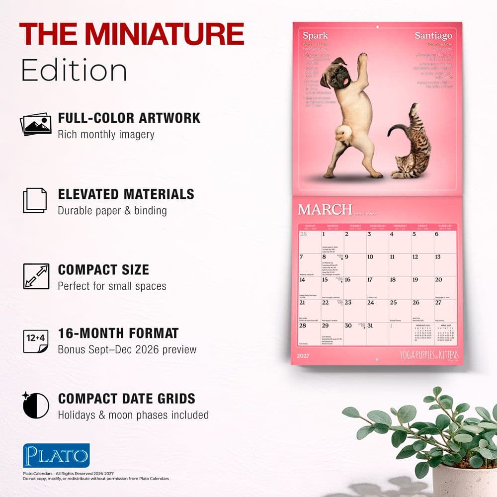 Yoga Puppies and Kittens 2027 Mini Wall Calendar Fifth Alternate Image