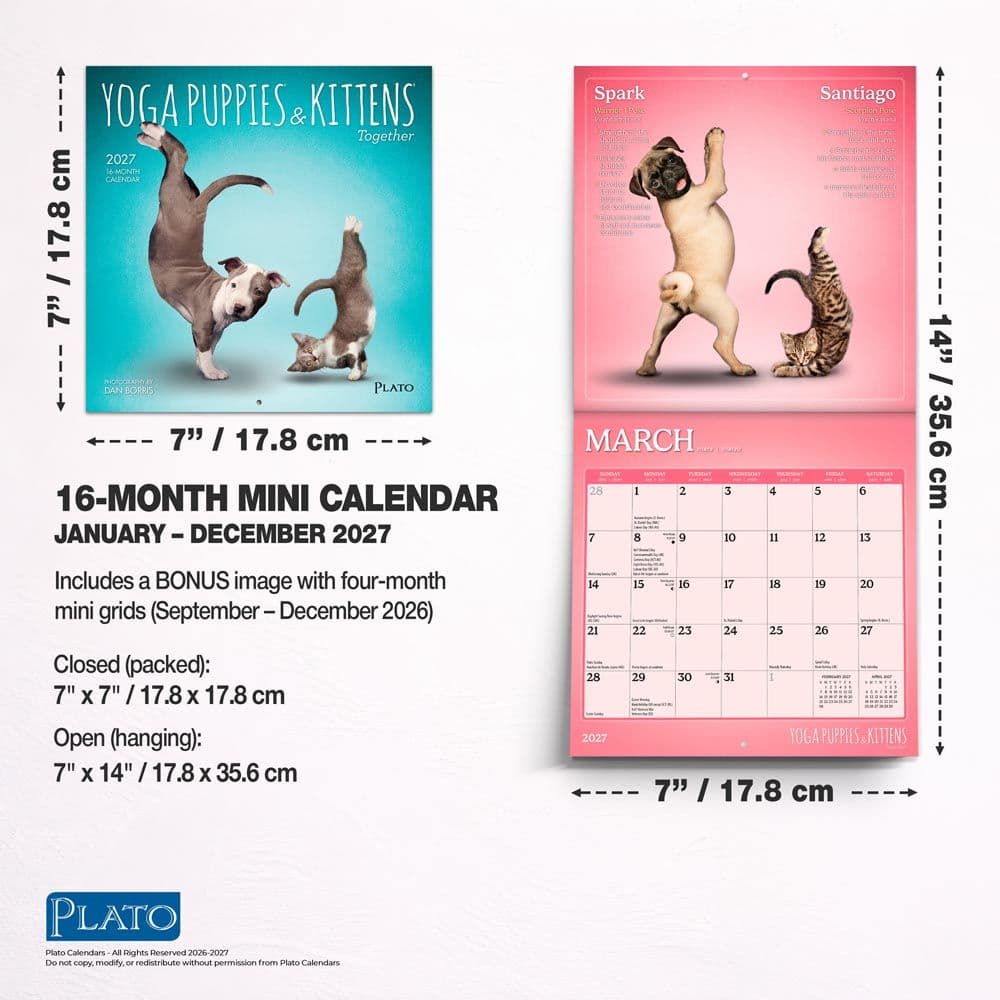 Yoga Puppies and Kittens 2027 Mini Wall Calendar Sixth Alternate Image