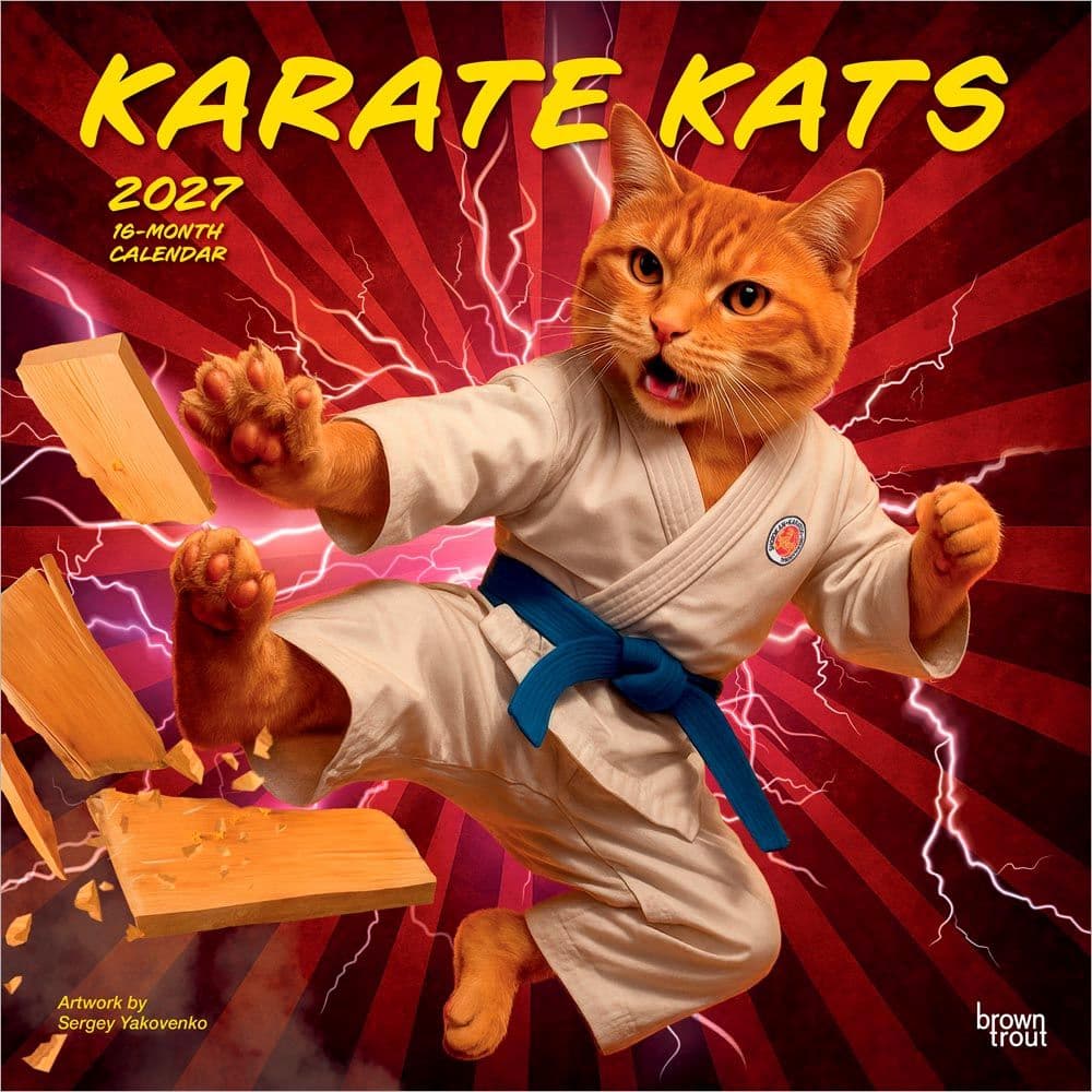 Karate Cats 2027 Wall Calendar Main Product Image