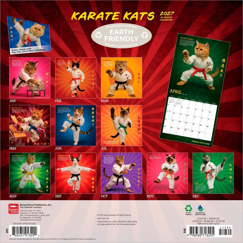 Karate Cats 2027 Wall Calendar First Alternate Image