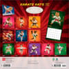image Karate Cats 2027 Wall Calendar First Alternate Image