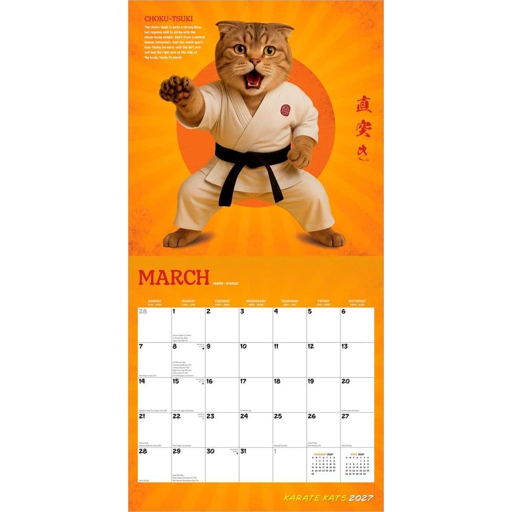 Karate Cats 2027 Wall Calendar Second Alternate Image
