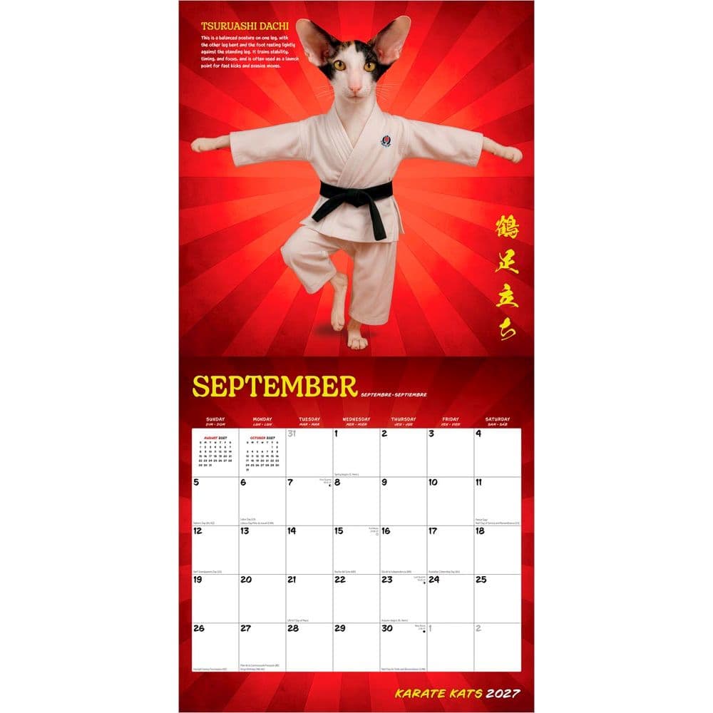 Karate Cats 2027 Wall Calendar Third Alternate Image