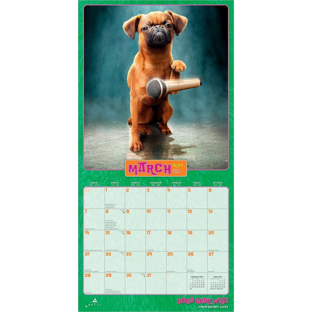 Avanti Dog Days 2027 Wall Calendar Second Alternate Image