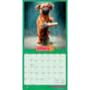 image Avanti Dog Days 2027 Wall Calendar Second Alternate Image