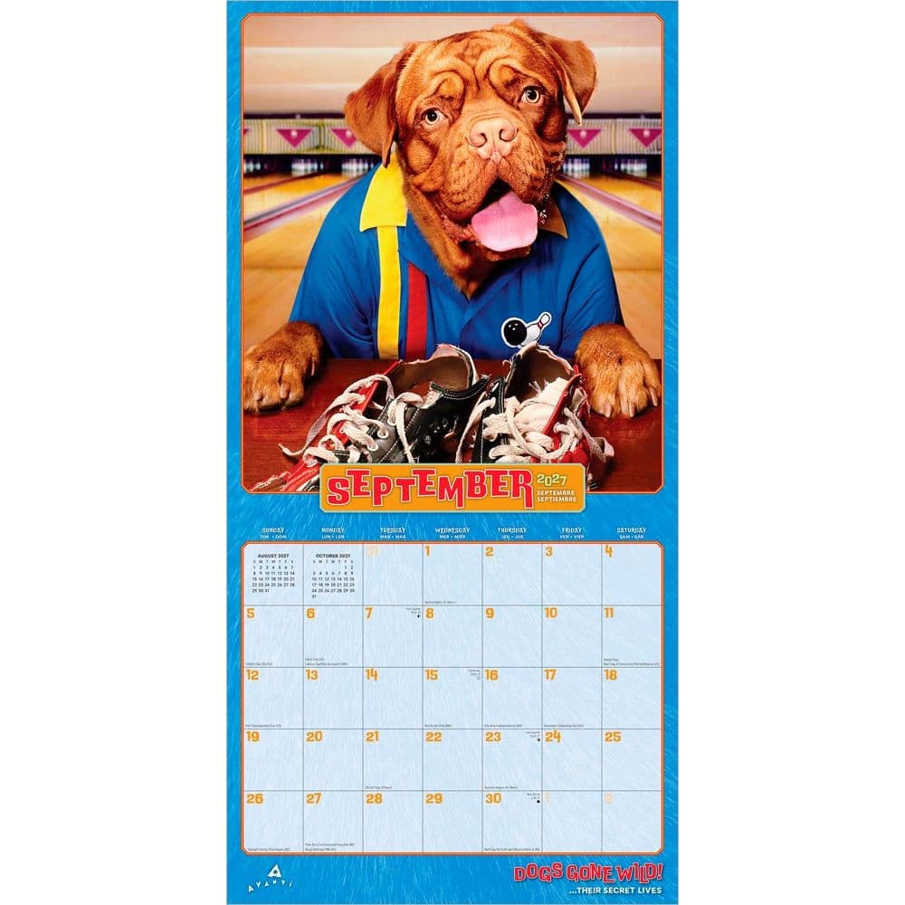 Avanti Dog Days 2027 Wall Calendar Third Alternate Image