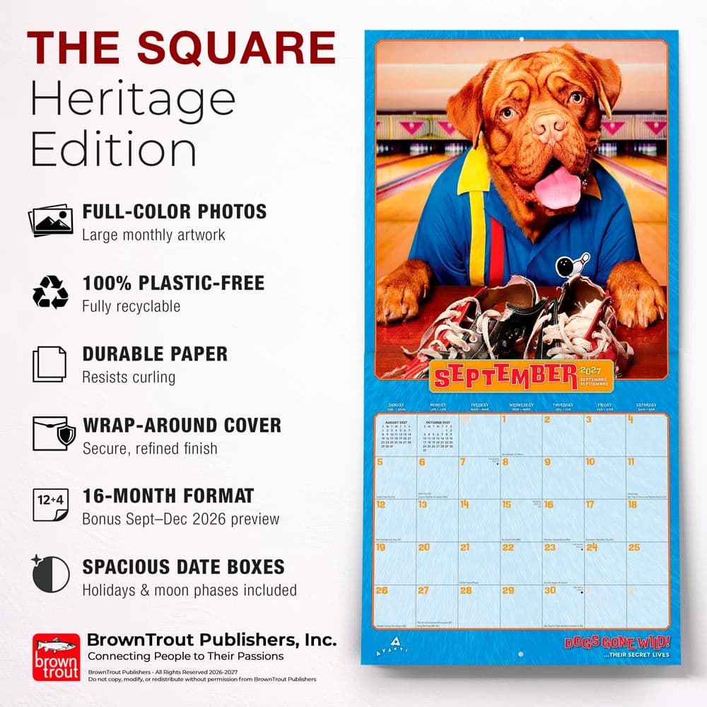 Avanti Dog Days 2027 Wall Calendar Fifth Alternate Image