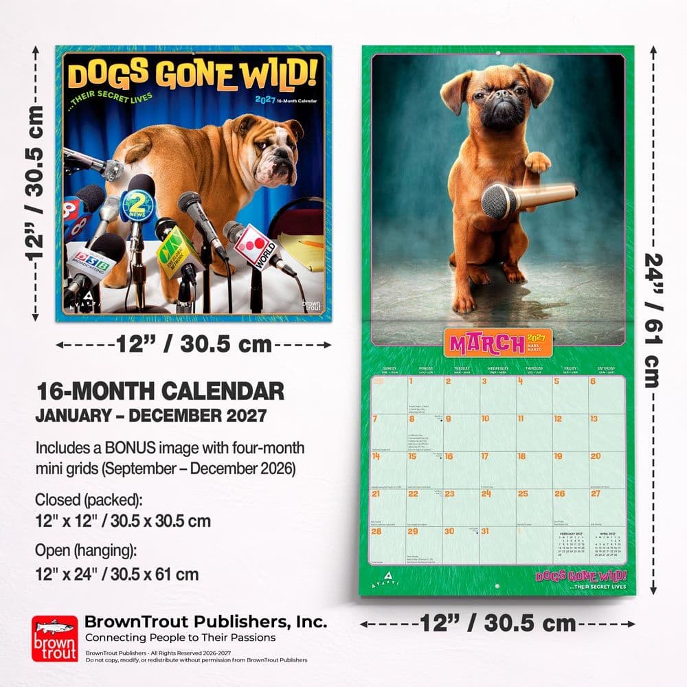Avanti Dog Days 2027 Wall Calendar Sixth Alternate Image