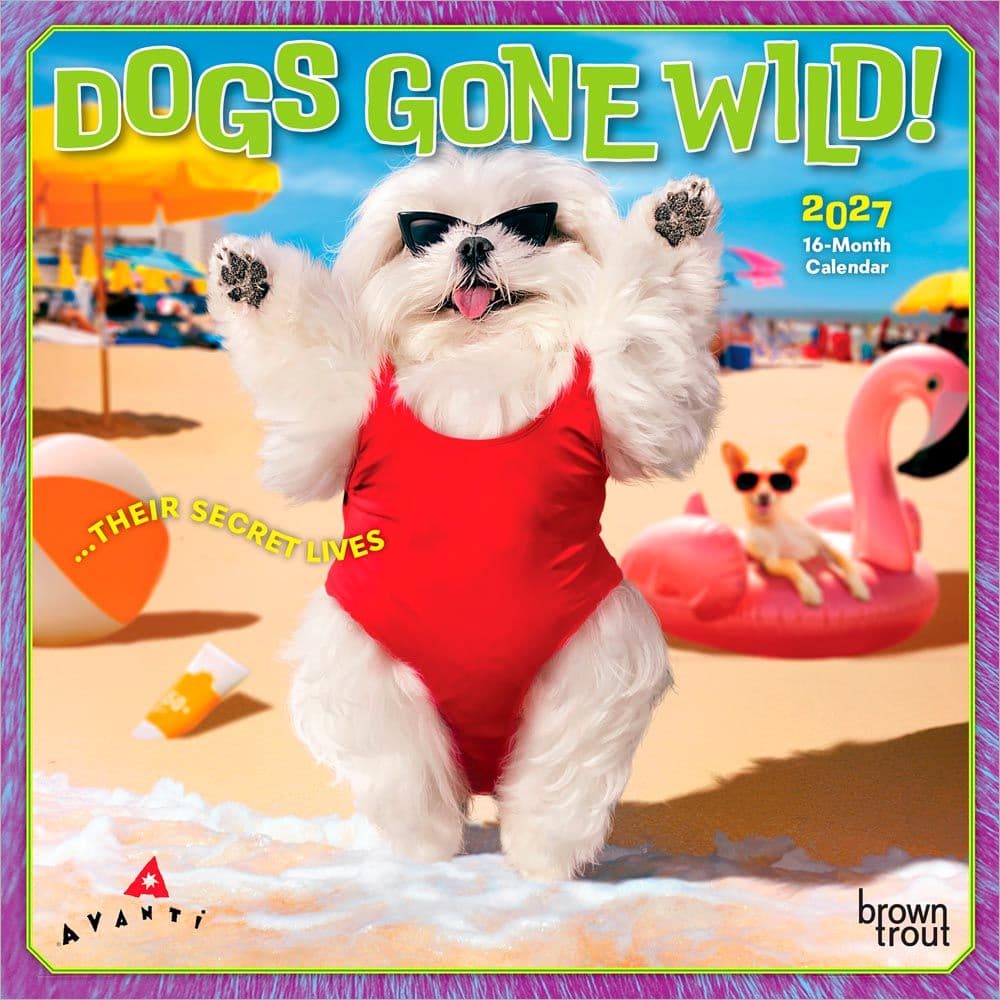 Avanti Dogs Gone Wild 2027 Mini Wall Calendar Main Product Image