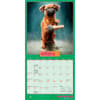 image Avanti Dogs Gone Wild 2027 Mini Wall Calendar Second Alternate Image