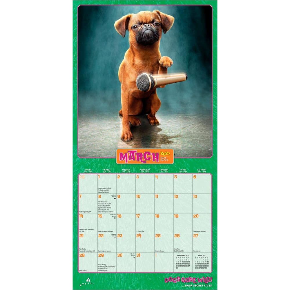 Avanti Dogs Gone Wild 2027 Mini Wall Calendar Second Alternate Image