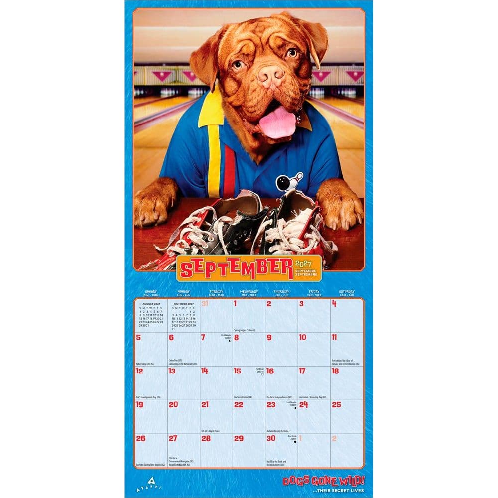 Avanti Dogs Gone Wild 2027 Mini Wall Calendar Third Alternate Image