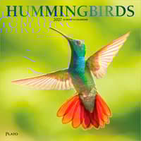 image Hummingbirds Plato 2027 Wall Calendar Main Product Image