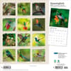 image Hummingbirds Plato 2027 Wall Calendar First Alternate Image