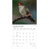 image Hummingbirds Plato 2027 Wall Calendar Second Alternate Image