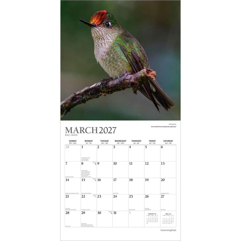 Hummingbirds Plato 2027 Wall Calendar Second Alternate Image