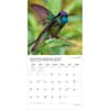 image Hummingbirds Plato 2027 Wall Calendar Third Alternate Image