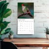 image Hummingbirds Plato 2027 Wall Calendar Fourth Alternate Image