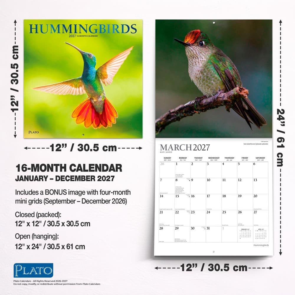 Hummingbirds Plato 2027 Wall Calendar Sixth Alternate Image