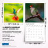 image Hummingbirds Plato 2027 Wall Calendar Sixth Alternate Image