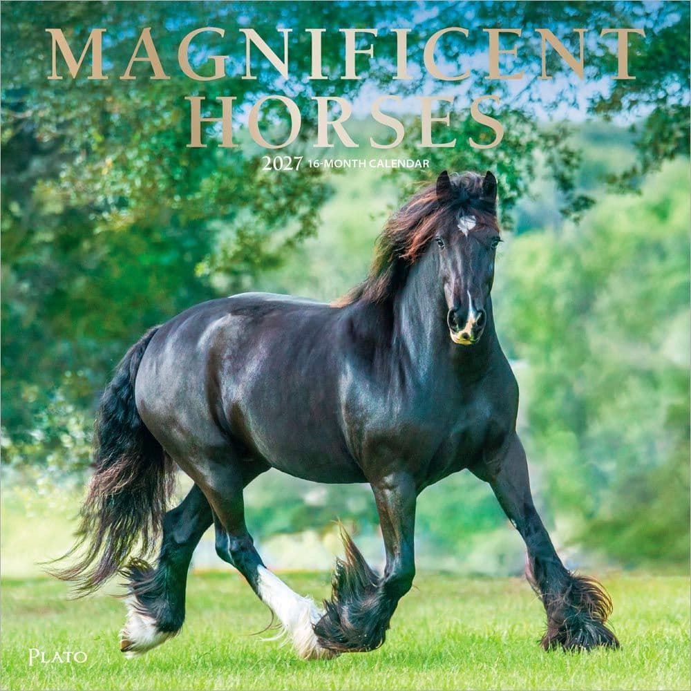 Magnificent Horses Plato 2027 Wall Calendar Main Product Image