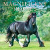 image Magnificent Horses Plato 2027 Wall Calendar Main Product Image