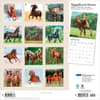 image Magnificent Horses Plato 2027 Wall Calendar First Alternate Image