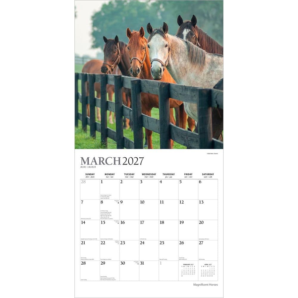 Magnificent Horses Plato 2027 Wall Calendar Second Alternate Image