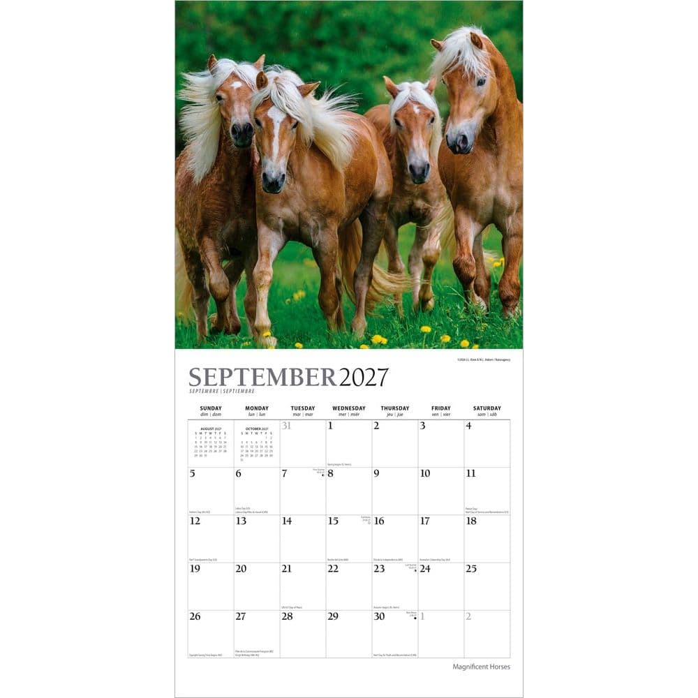 Magnificent Horses Plato 2027 Wall Calendar Third Alternate Image