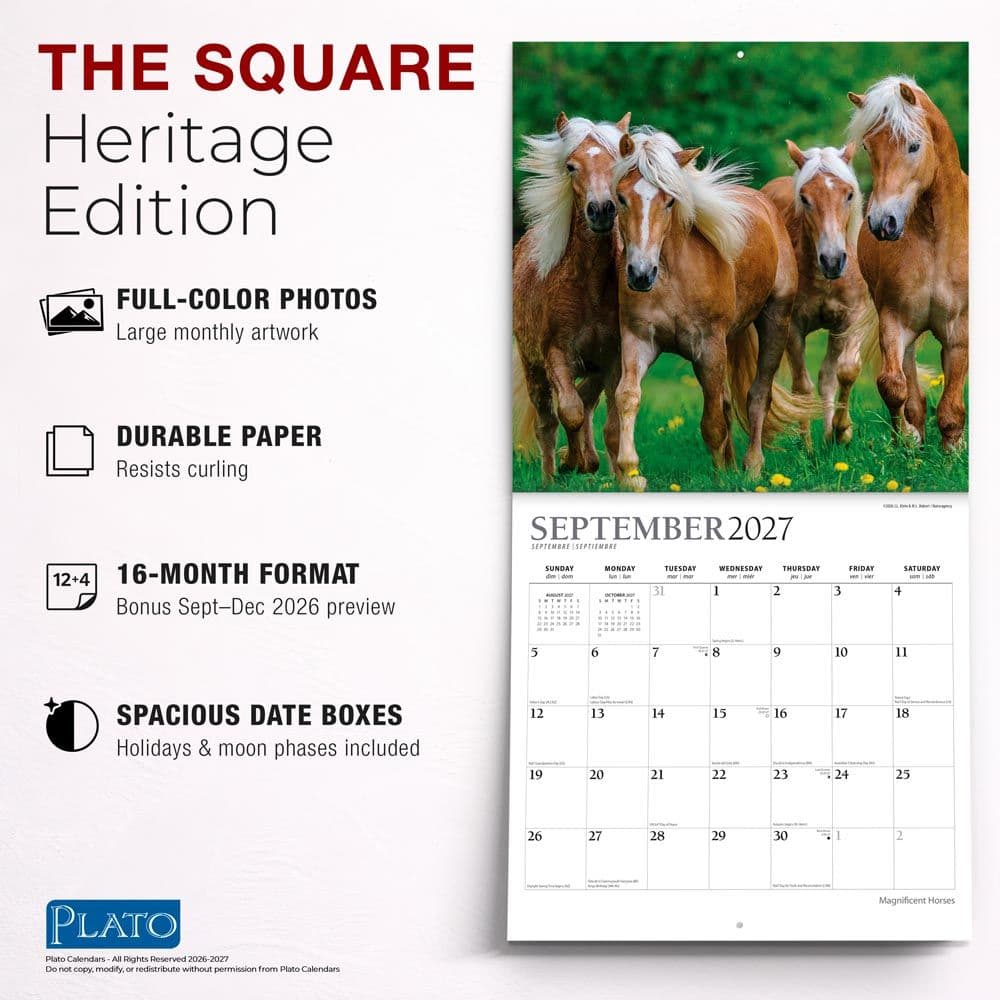 Magnificent Horses Plato 2027 Wall Calendar Fifth Alternate Image
