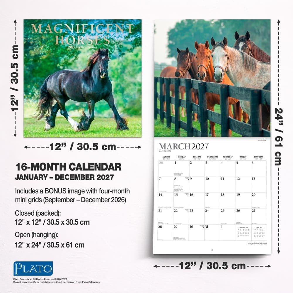 Magnificent Horses Plato 2027 Wall Calendar Sixth Alternate Image