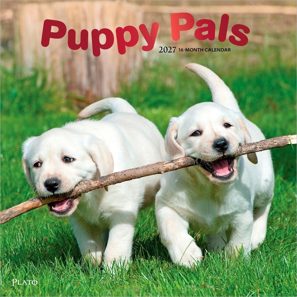 image Puppy Pals Plato  2027 Wall Calendar Main Product Image