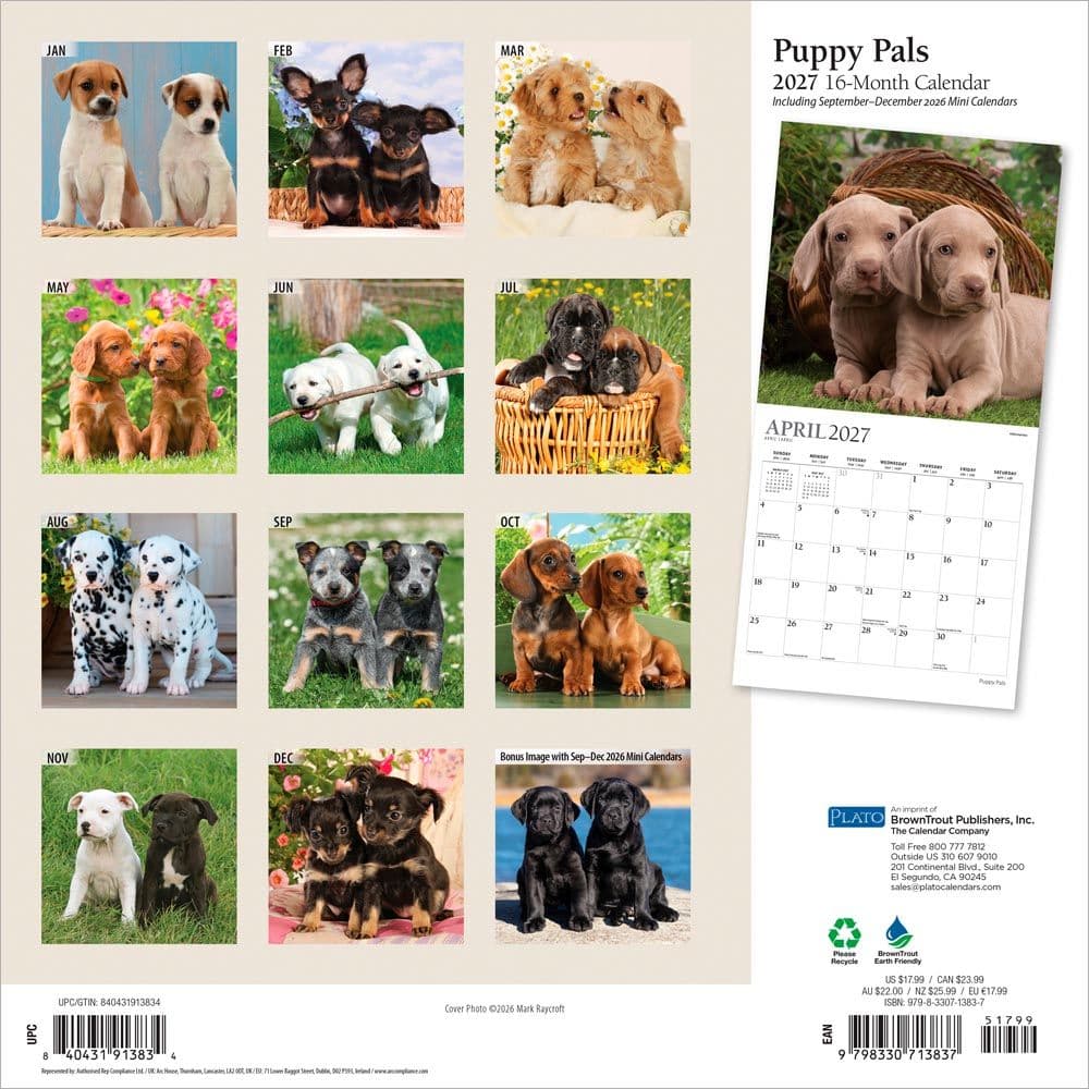 Puppy Pals Plato  2027 Wall Calendar First Alternate Image
