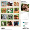 image Puppy Pals Plato  2027 Wall Calendar First Alternate Image