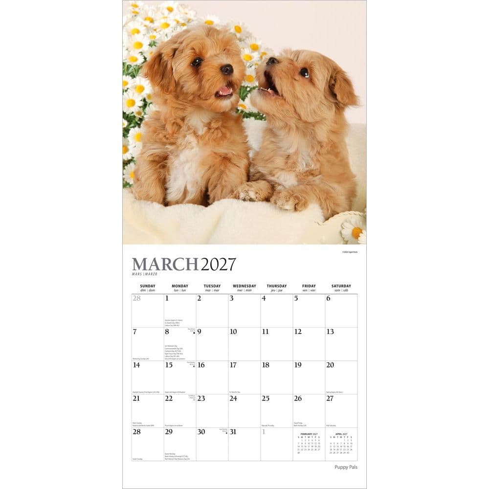 Puppy Pals Plato  2027 Wall Calendar Second Alternate Image