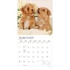 image Puppy Pals Plato  2027 Wall Calendar Second Alternate Image