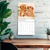 image Puppy Pals Plato  2027 Wall Calendar Fourth Alternate Image
