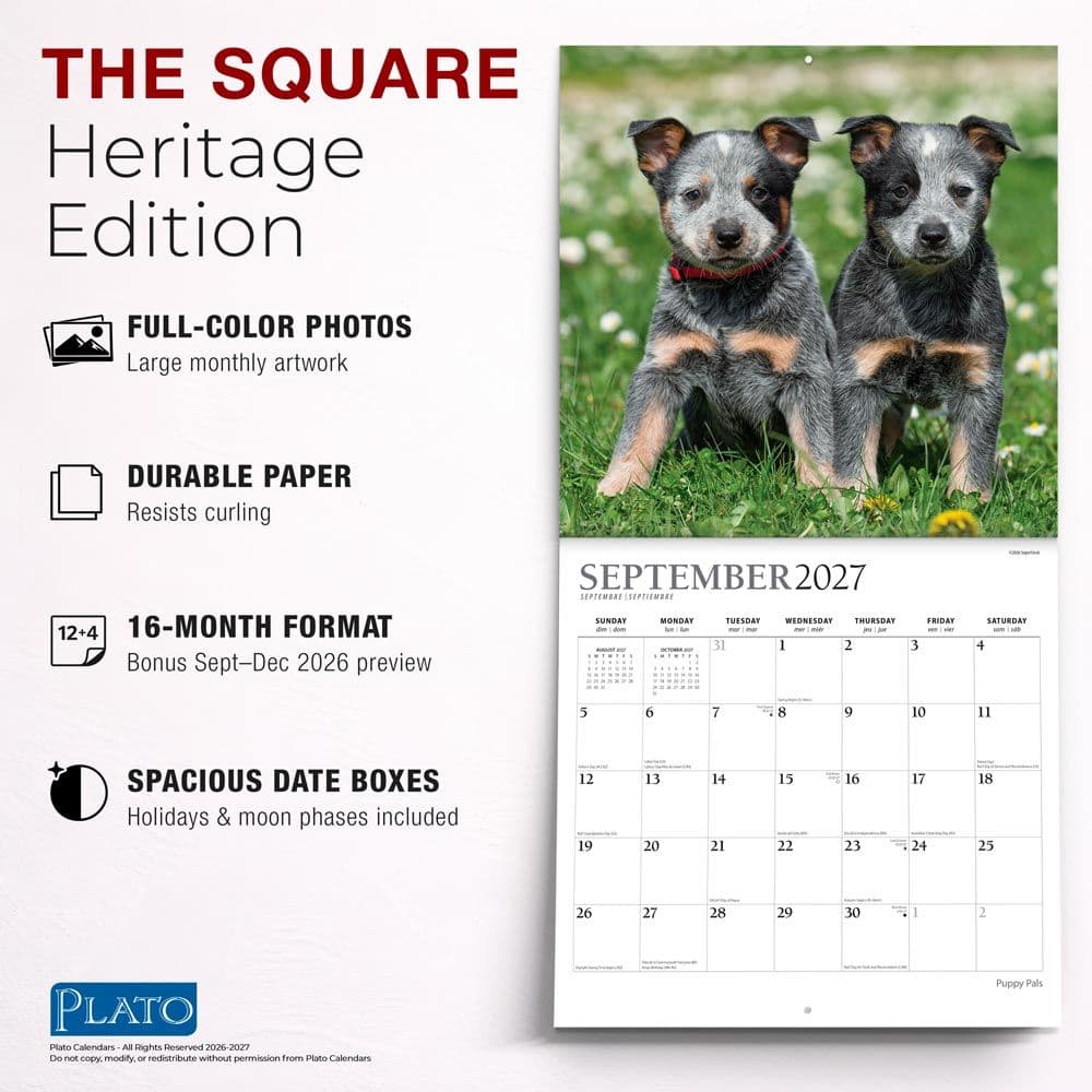 Puppy Pals Plato  2027 Wall Calendar Fifth Alternate Image