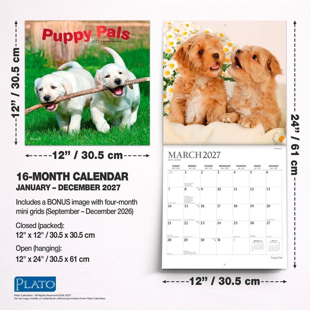 Puppy Pals Plato  2027 Wall Calendar Sixth Alternate Image
