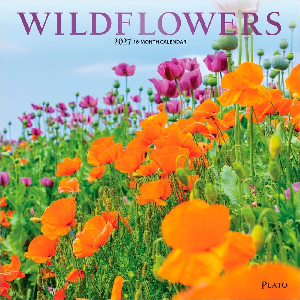 Wildflowers Plato 2027 Wall Calendar