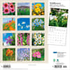 image Wildflowers Plato 2027 Wall Calendar First Alternate Image