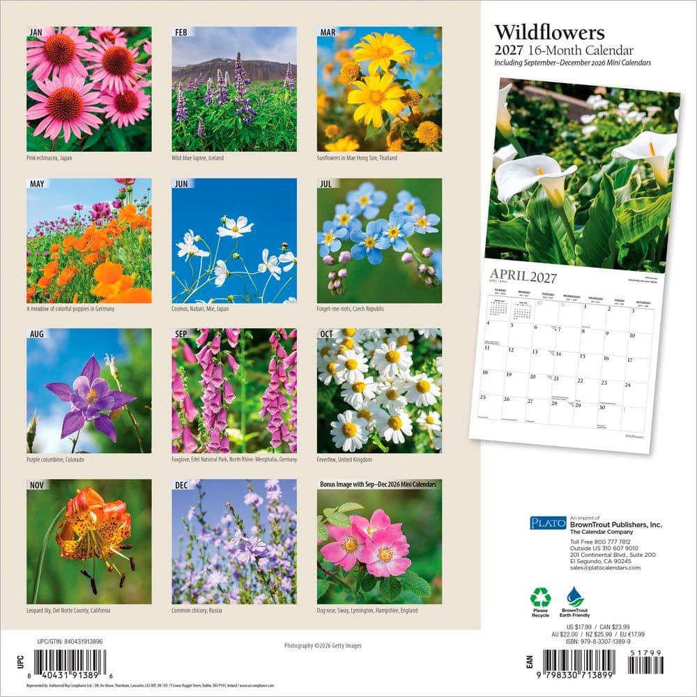 Wildflowers Plato 2027 Wall Calendar First Alternate Image